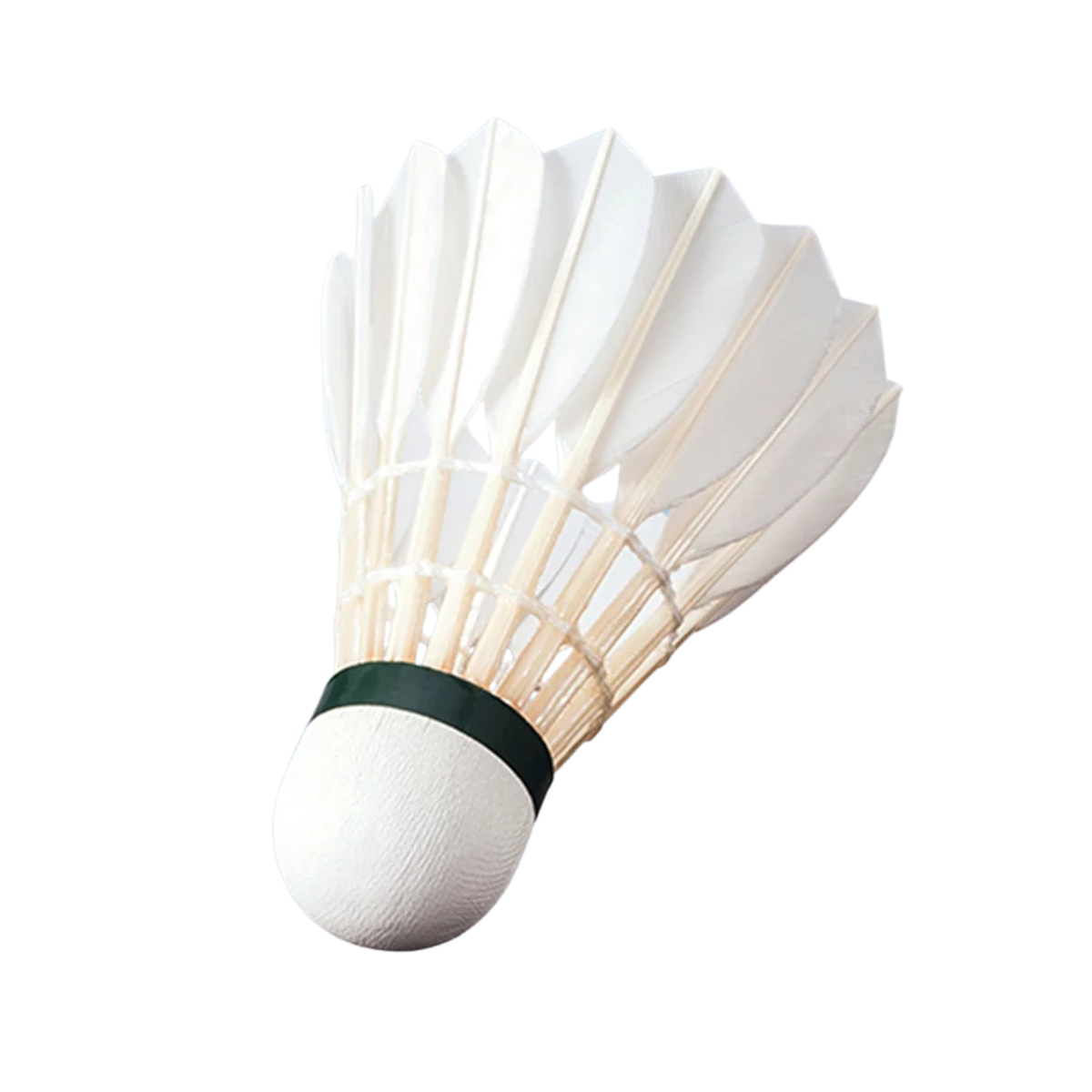 Badminton Shuttlecock RSL Practice